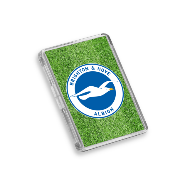 Brighton and Hove Albion Football-Inspired Magnet