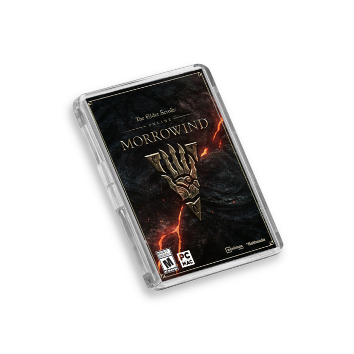 The Elder Scrolls Online Xbox One/PS4-Inspired Magnet