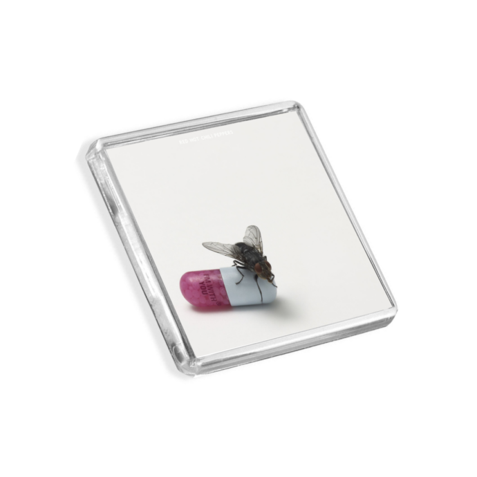 Red Hot Chili Peppers - I'm With You Music-Inspired Magnet