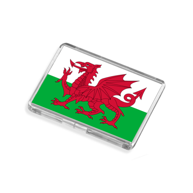 Wales Flag-Inspired Magnet