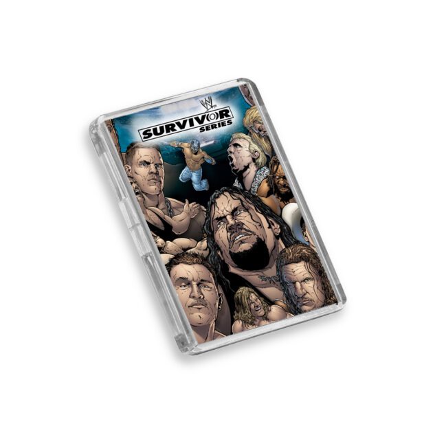 Plastic WWE Survivor Series 2004 fridge magnet on white background